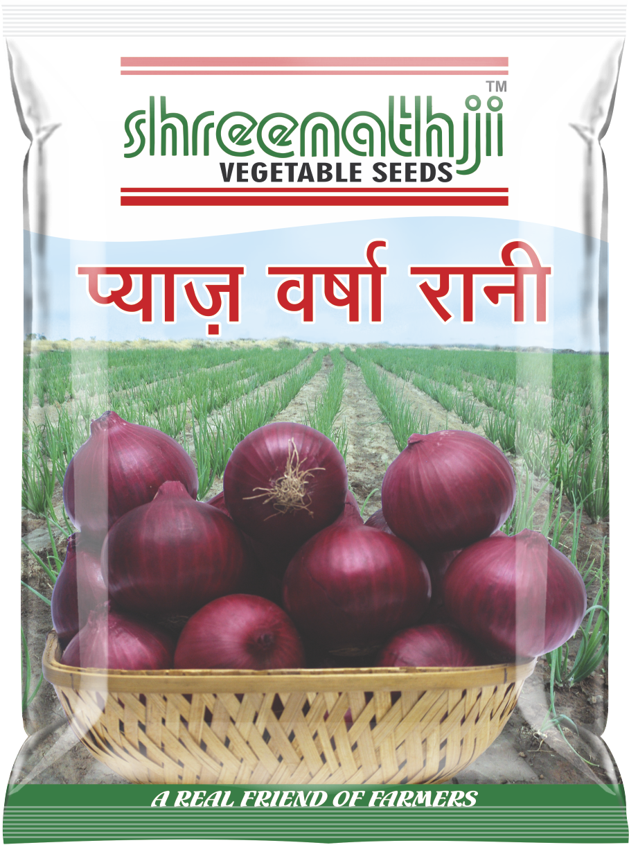 ડુંગળી વર્ષા રાની